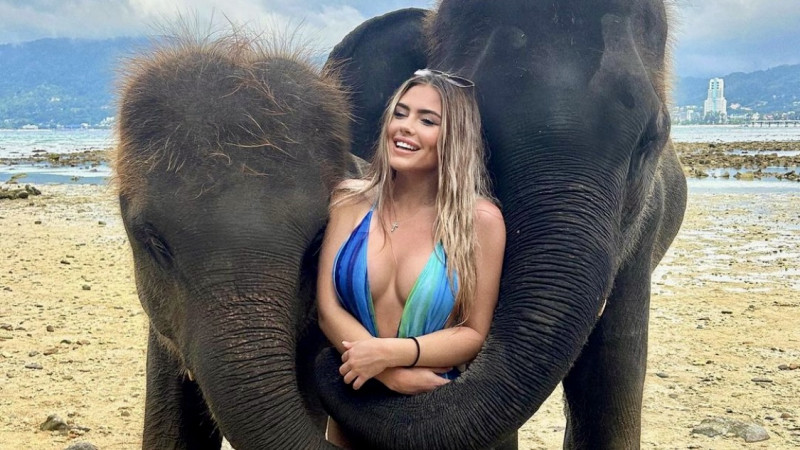 Wulpse Caterina houdt wel van een grote slurf