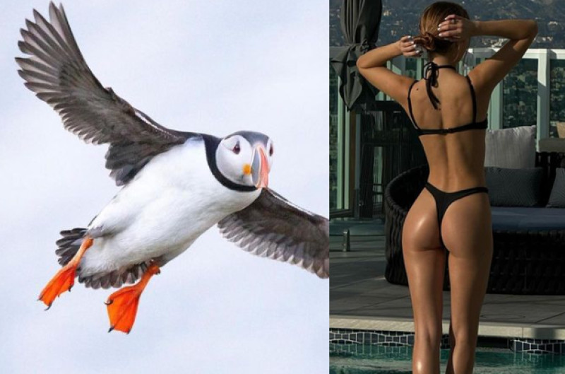 Stiekem naar natuurlijk én vrouwelijk schoon gluren doe je zo (foto's)