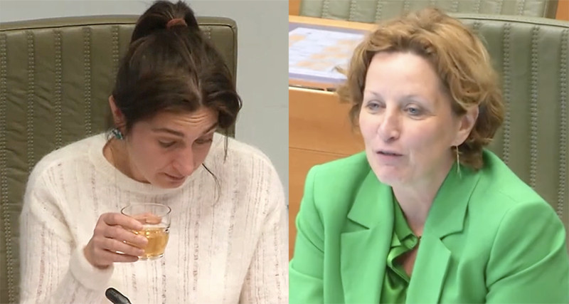 Demir (N-VA) en Schauwvliege kakelen als kippen in Vlaams Parlement