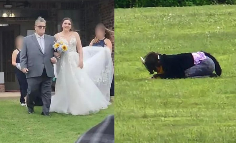 Trouwceremonie wordt verstoord door persoon die zich identificeert als kat (video)