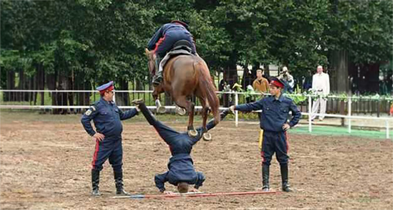 Tien om te zien #785 (foto’s)