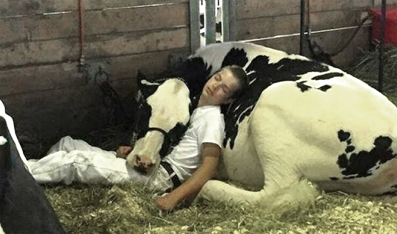 Tien om te zien #805 (foto’s)