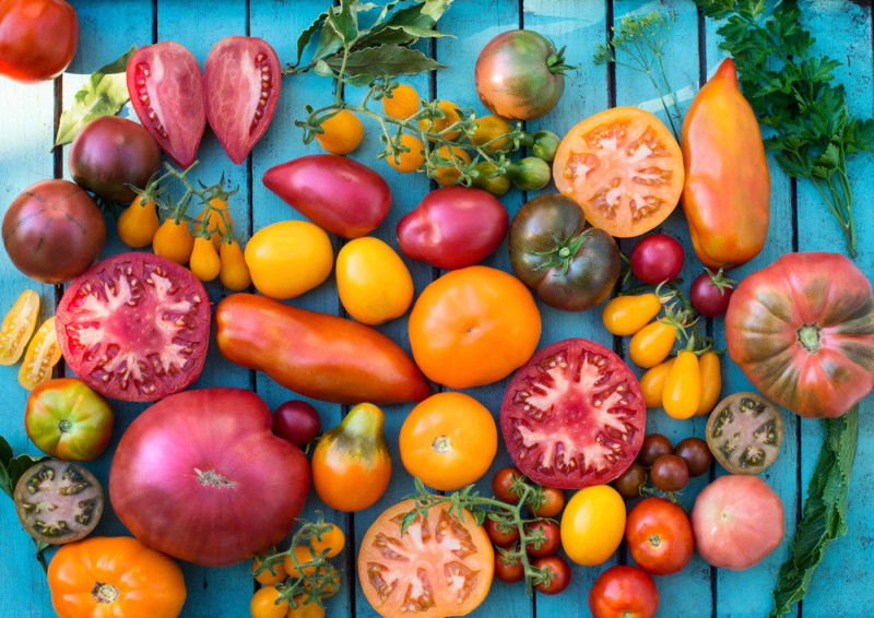 Coeur de boeuf, San Marzano of kumato? Zo zie je de bomen door het tomatenbos weer