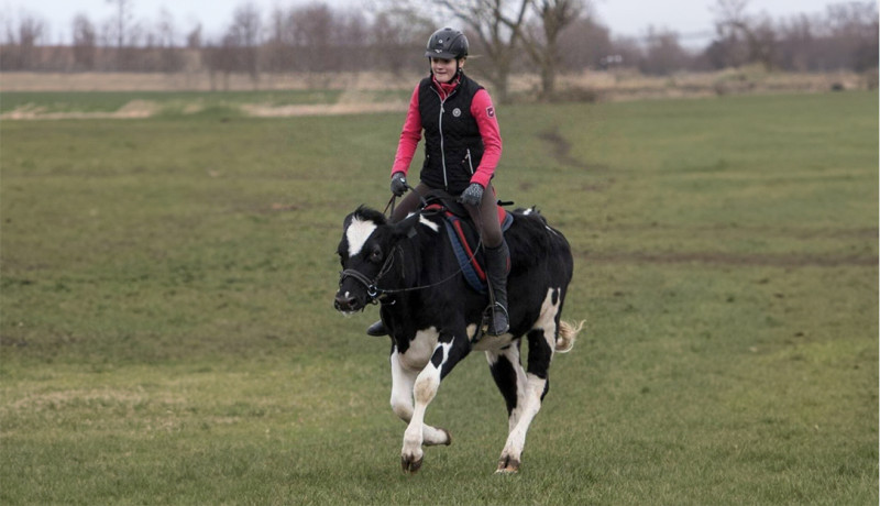 Tien om te zien #820 (foto’s)