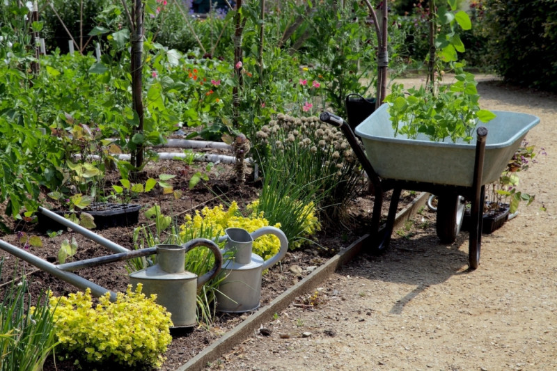 Get ready voor het moestuinseizoen: deze 4 planten mogen zeker niet ontbreken