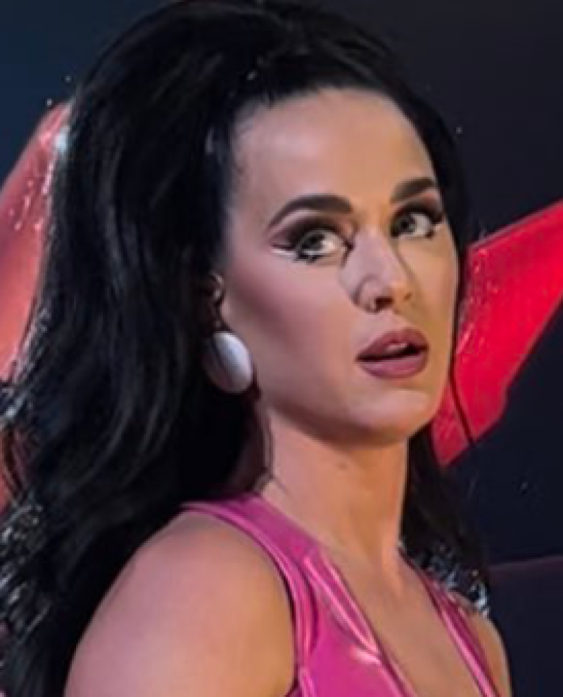 'Astronaute' Katy Perry stelt fans gerust na negativiteit online