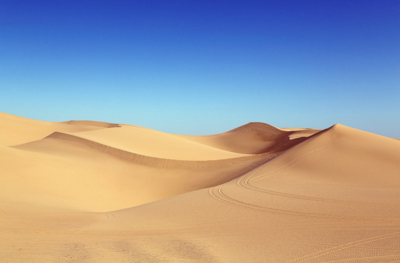 Zo overleef je droogte: tips voor als Vlaanderen straks verandert in de Sahara