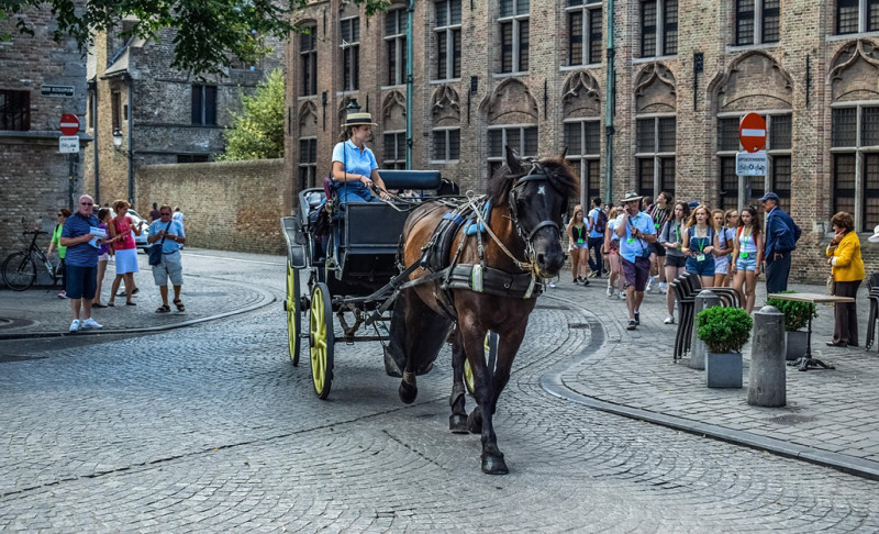 Brugge vraagt respect: toeristen nemen maandelijks teveel kasseien mee naar huis