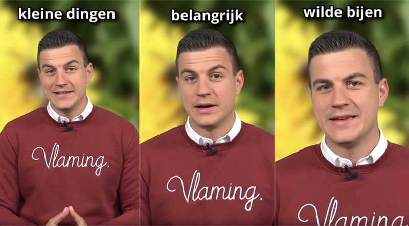 🎥  Ongezien: Dries Van Langenhove vertelt over de bijtjes… en de pisbloem