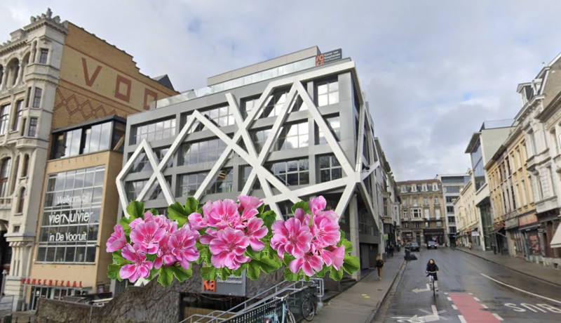 Guerilla-geraniums in Gent: hoe linkiewinkie-activisten het stadhuis kapen