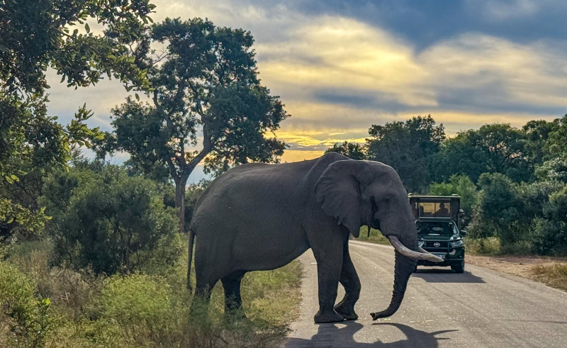 🎥 Hoe je Zuid-Afrika én de Victoria Falls bijna voor jezelf kan hebben