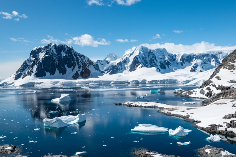 Antarctica was ooit groen en misschien zelfs tropisch