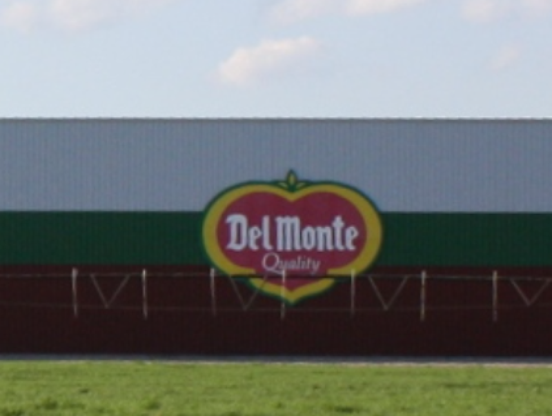 Del Monte vraagt en krijgt bescherming tegen schuldeisers - bijna in Belgische handen