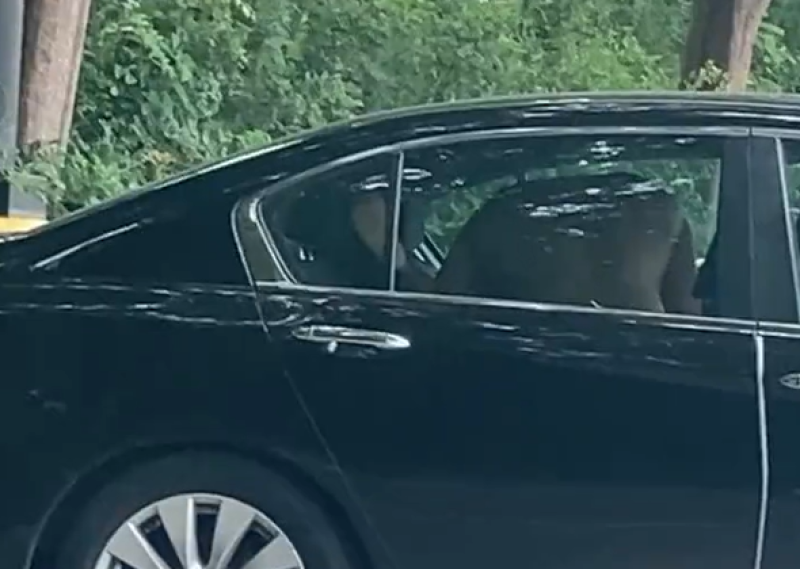 🎥 Koppeltje geef van katoen aan de parking van de supermarkt