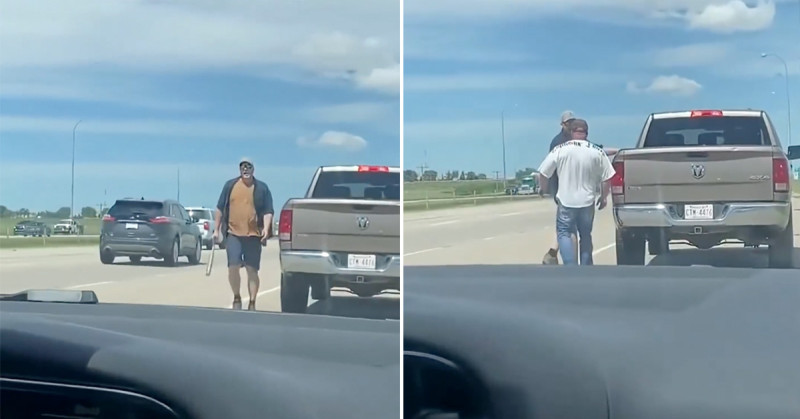 🎥 Verkeershaantje opeens pak minder stoer na confrontatie met nóg stoerder haantje