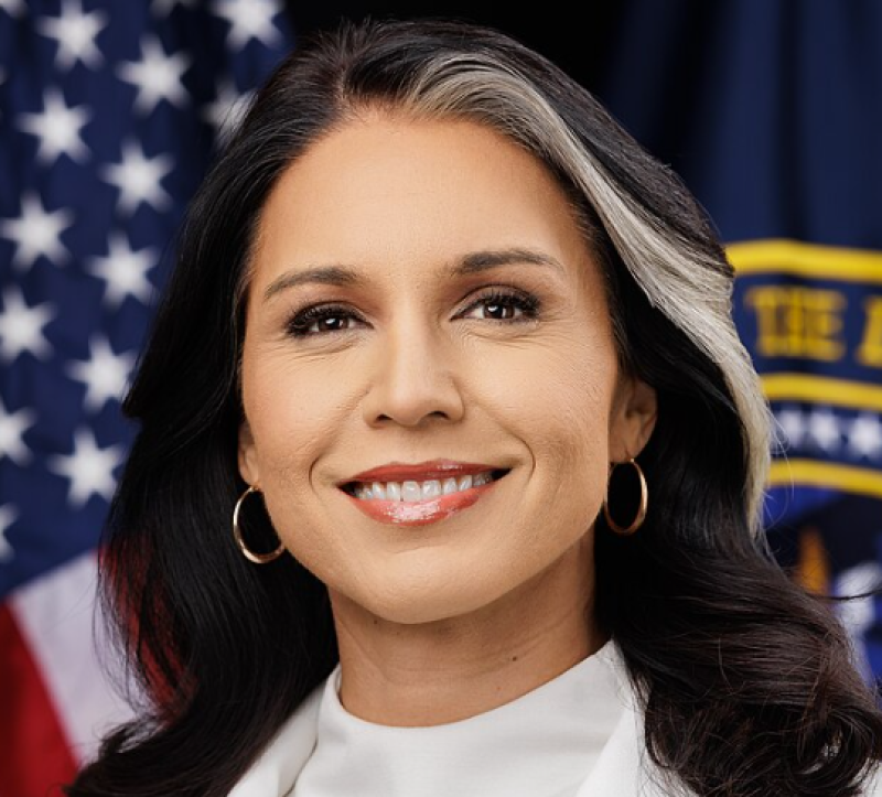 Gabbard: Biden-nota bestempelde coronasceptici als 'binnenlandse gewelddadige extremisten'