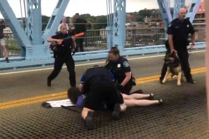 🎥 Activisten die brug blokkeren krijgen pak slaag van de politie