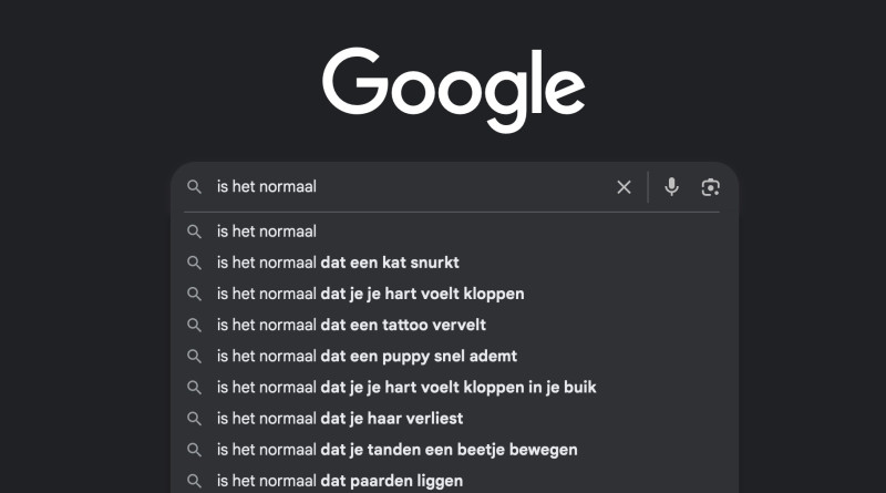 Wat jouw zoekgeschiedenis écht over jou zegt