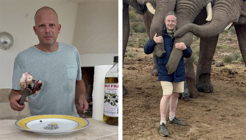 🎥  Theo geeft kookles en Bart doet het met olifanten terwijl Defensie 7,2 miljoen euro extra investeert in Kleine-Brogel