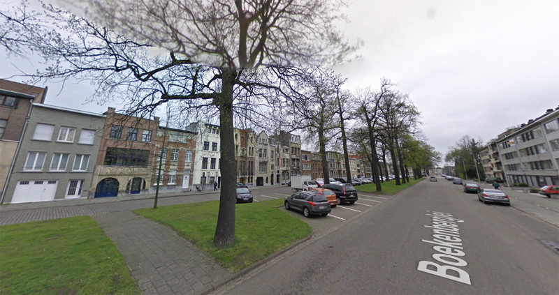 Hevige weerstand tegen bomenkap voor tramkeerlus in Deurne