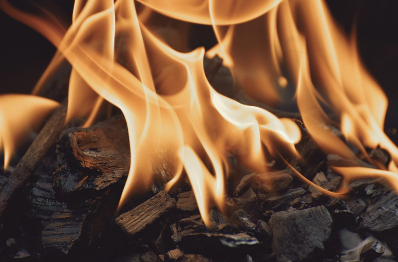 Kleine natuurbrand in Brasschaat snel bedwongen