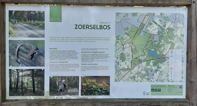 Ontdek Zoersel: Fietsroute langs monumentale bomen en kunsttentoonstelling