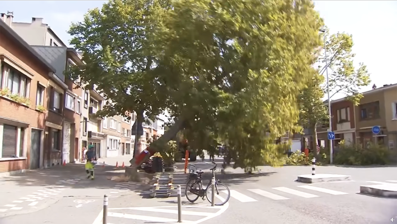 Politieke crisis in Deurne na bomenkap zet coalitie onder druk