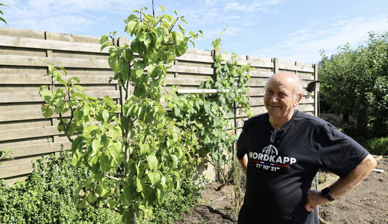 Groen Balen: gratis bomen voor inwoners via 1.001 bomen project