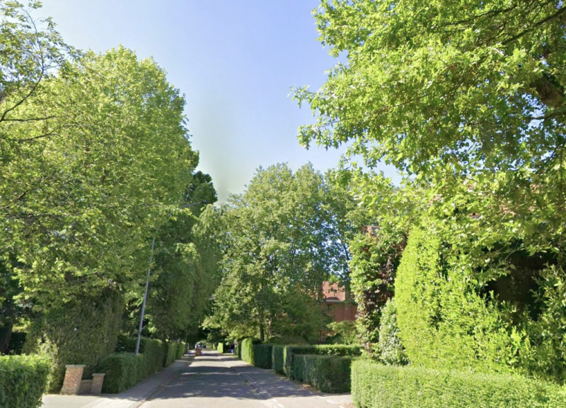 Olen zet herfstseizoen in: raad bespreekt knip Leemanslaan en lokale initiatieven