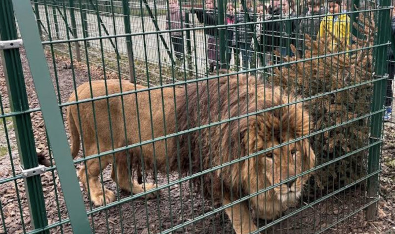 Nieuwe toekomst voor Natuurhulpcentrum Oudsbergen met uitbreidingsopties