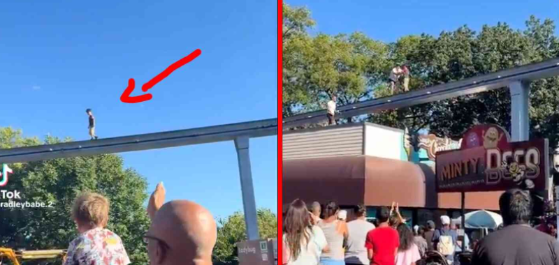 🎥 Bezoeker wordt held na redding van kind op verboden monorailspoor