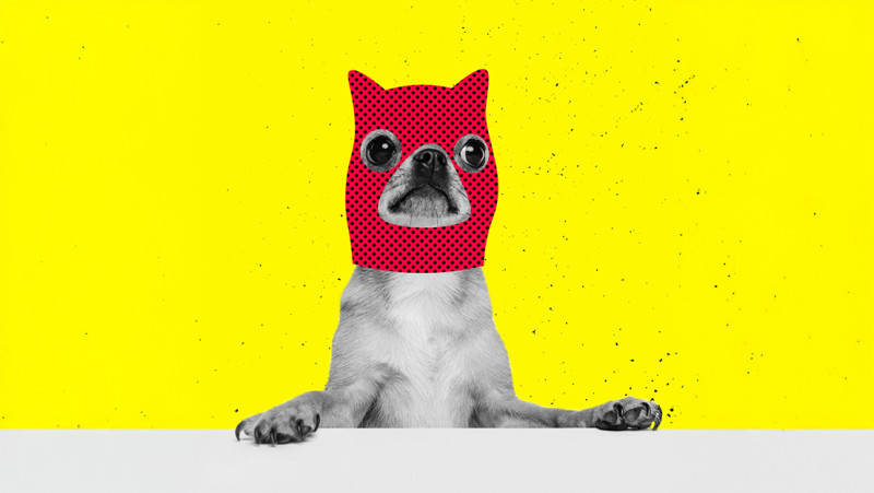Vier Werelddierendag creatief: 'Paint Your Pet & Sip' bij Palette Lizette