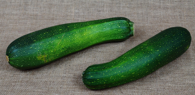 Spannende strijd om de grootste courgette in Oudegem