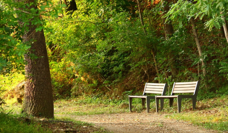 Ontdek de nachtelijke wereld in het Zwin Natuur Park op 12 september