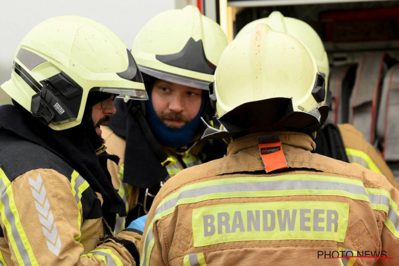 Brandweer in actie: Omgewaaide boom dreigt op Gentse rijbaan te vallen