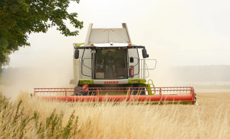 Op verkenning bij de boeren: Dag van de Landbouw 2025 zet duurzame landbouw in de kijker