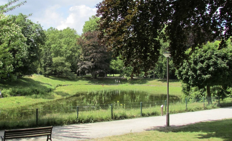 Dodelijke steekpartij in Antwerps Stadspark leidt tot arrestatie van zeven personen