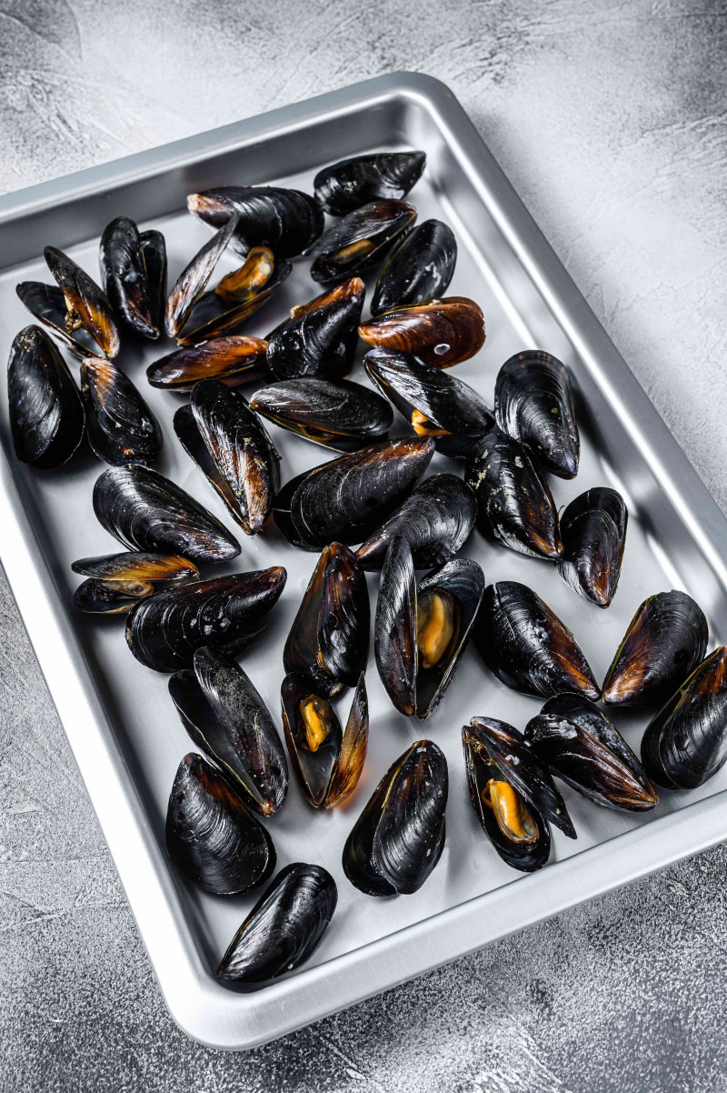 Antwerps streetfood herleeft: Moules parquées terug op het menu