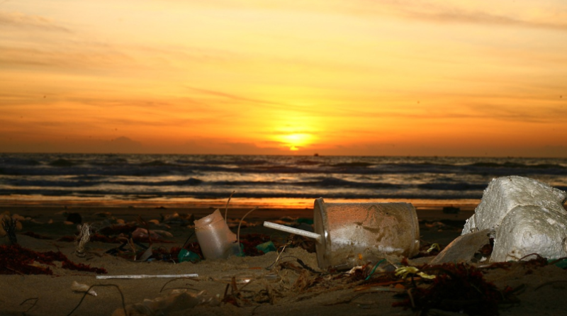Oostende blinkt uit tijdens World Cleanup Day
