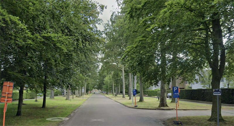 Schoten overweegt parkeerverbod bij Kasteeldreef om beuken te beschermen