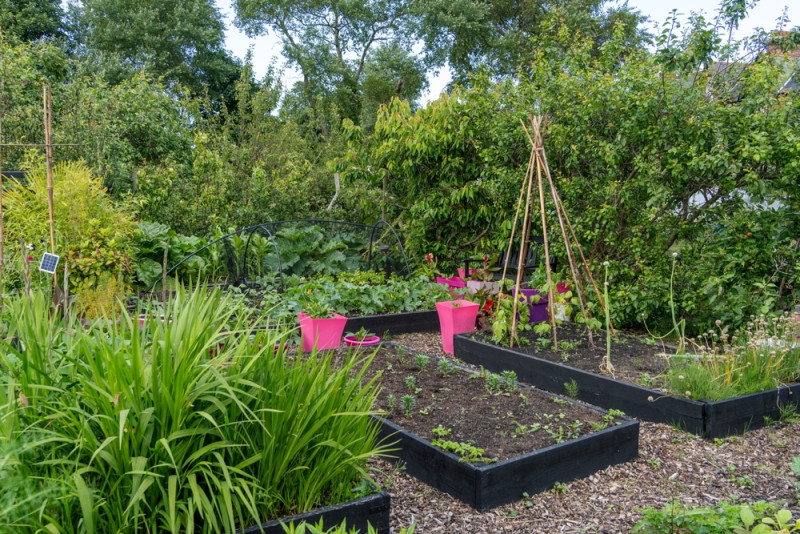 Groene vingers en fermentatieworkshops: Boomse samentuin opent deuren