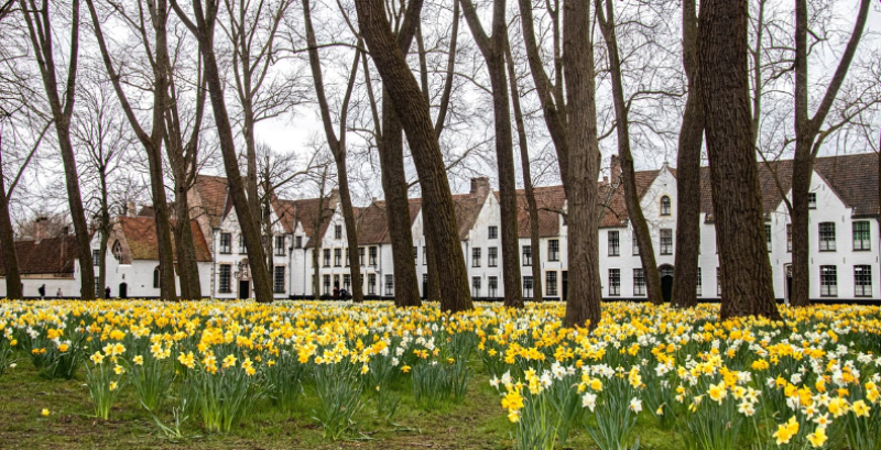 800 jaar Begijnhof Brugge groot succes: 60.000 bezoekers genieten van unieke festiviteiten