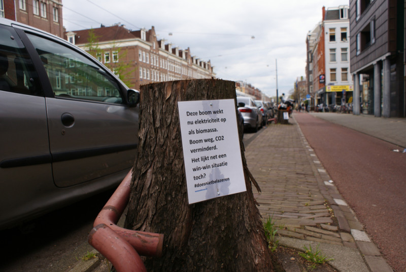Antwerpen herziet bomenbeleid na controverse in Deurne-Zuid