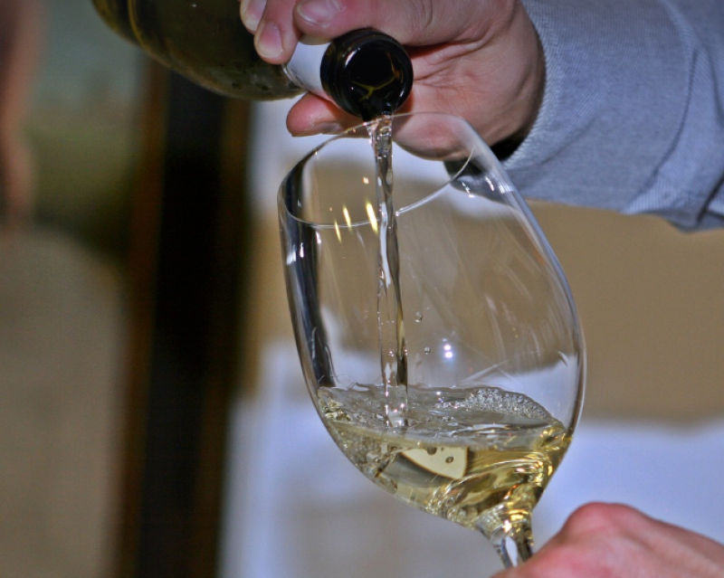 Femke Colenbie verovert brons bij Beste Sommelier van België 2025