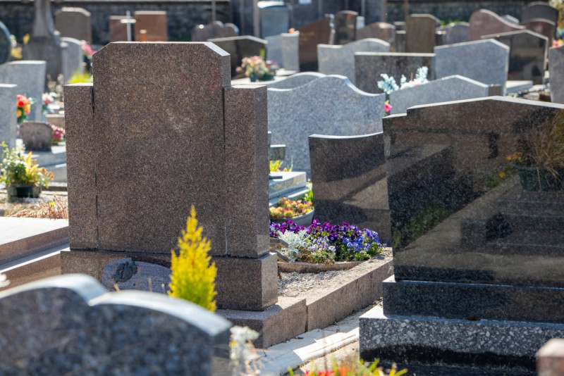fouten op begraafplaats boom leiden tot verontschuldigingen