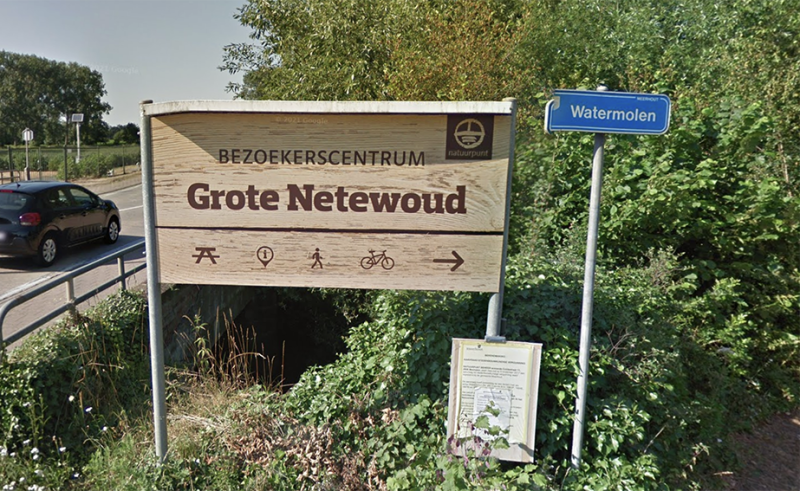 Nieuwe bungelbank in Grote Netewoud versterkt natuurbeleving