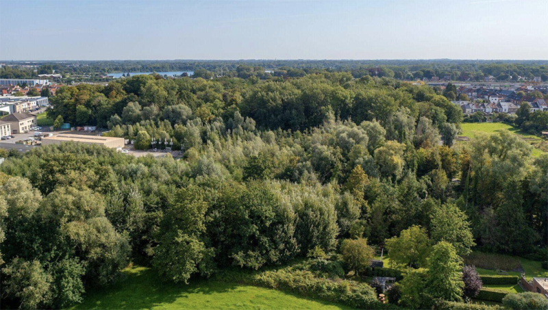 Mechelen verwerft historisch Bos van Loos om natuur te bevorderen