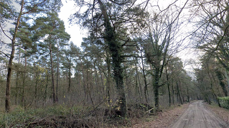 Groene toekomst voor het Pidpa-bos in Grobbendonk