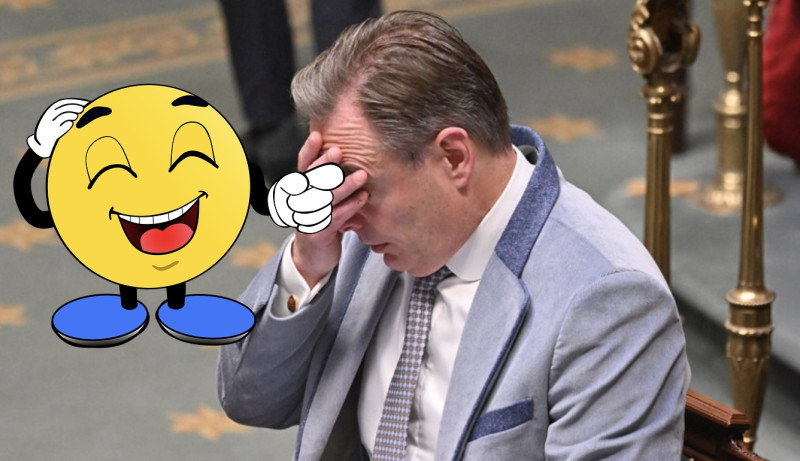 Waarom Bart De Wever zijn regering vastloopt in een Belgenmop