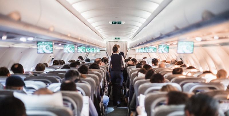 Brussels Airlines ontslaat drie stewardessen omdat ze weigeren te vliegen: wegens ongedierte